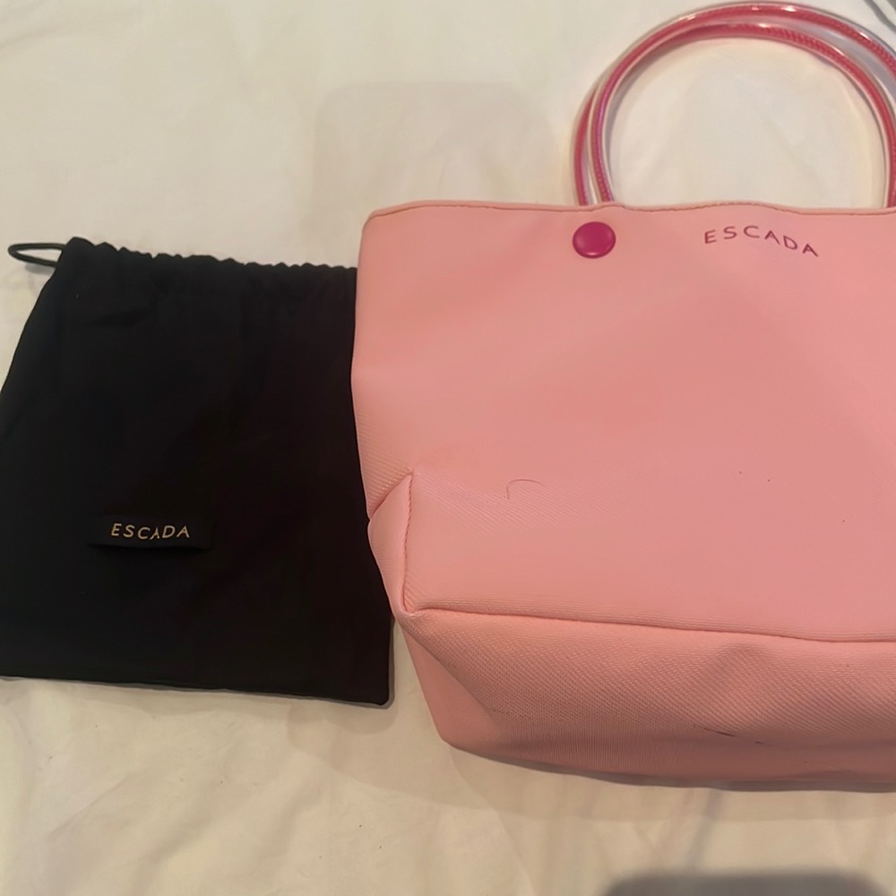 Authentic Escada Bag and mini pouch